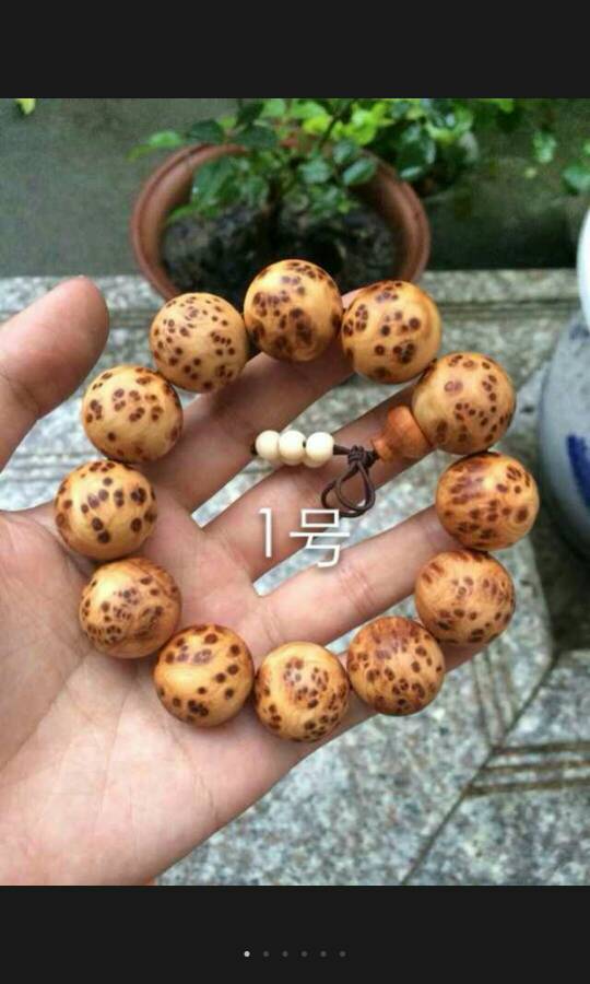 海南九市县实现中职免费教育10万多学生受益:十大外围足球平台app(图3) 十大外围足球平台app