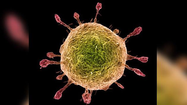 上海:推进职业教育信息话建设职校建智慧教室|十大外围足球平台app(图2) 十大外围足球平台app