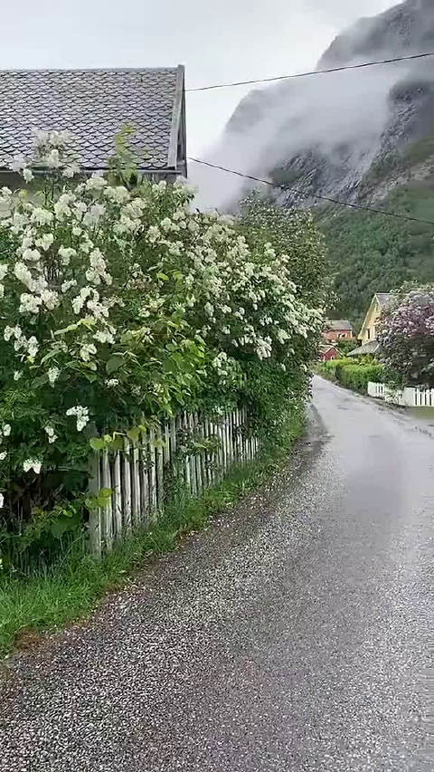 十大外围足球平台app-超强电流什么时候播出?超强电流是什么节目嘉宾有哪些(图3) 十大外围足球平台app