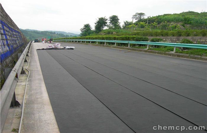 十大外围足球平台app:石家庄新东方开办出国留学规划指导课(图1) 十大外围足球平台app