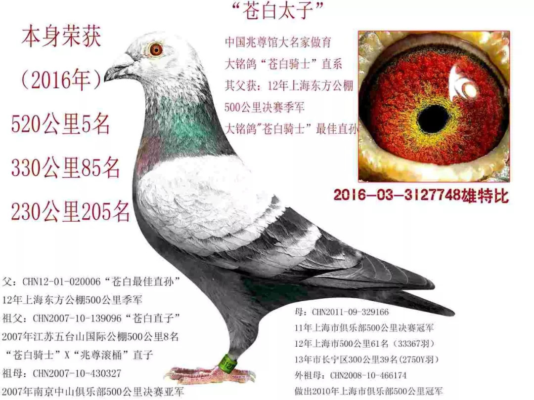 十大外围足球平台app