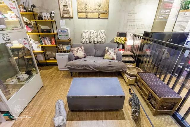 十大外围足球平台app