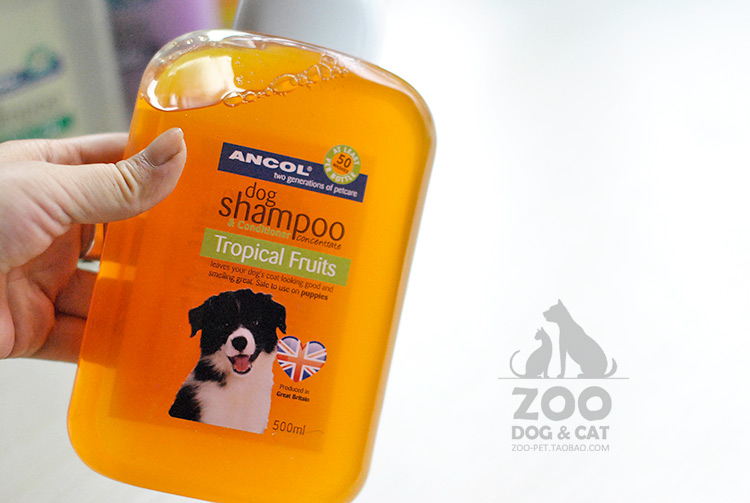 十大外围足球平台app:
“人间清醒”胡杏儿 有身瞒着节目组上综艺 自认不需特殊看待(图4) 十大外围足球平台app