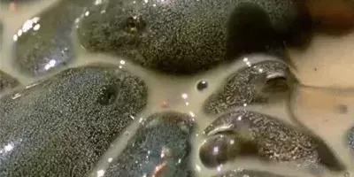 全国职业院校教学管理50强案例报告之十六 河北工业职业技术学院|十大外围足球平台app(图2) 十大外围足球平台app