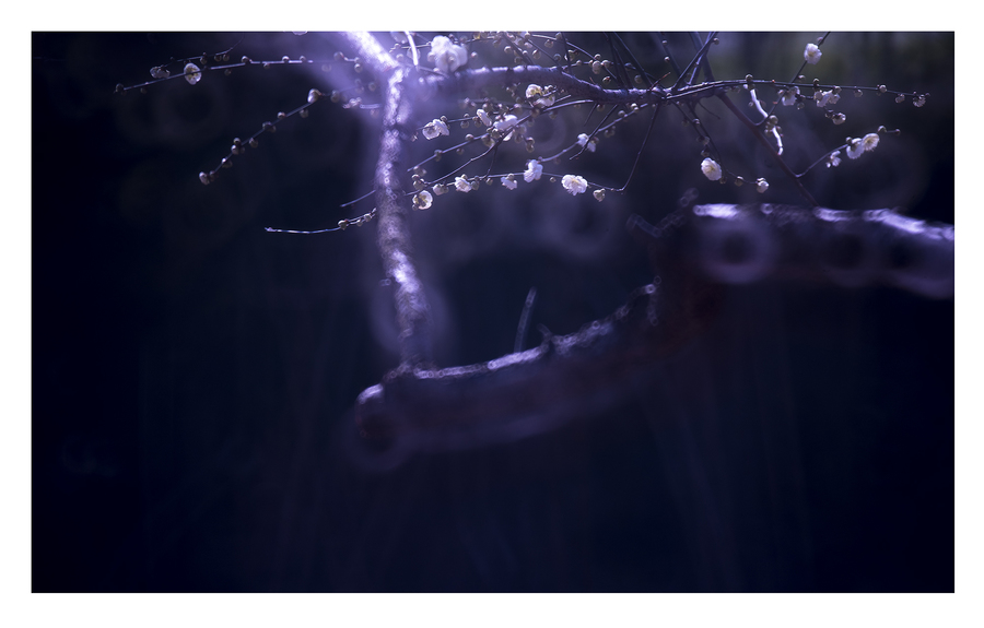 十大外围足球平台app