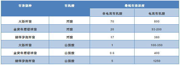 十大外围足球平台app